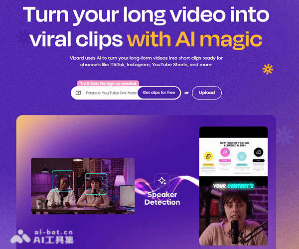 Vizard screenshot 1