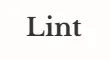 Lint