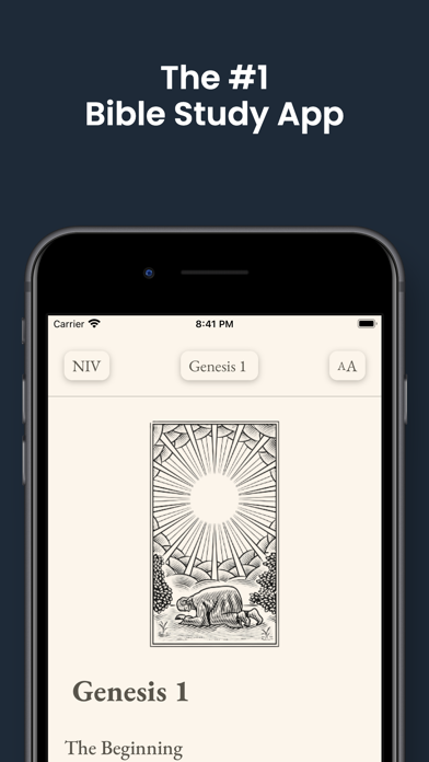 Light screenshot 1