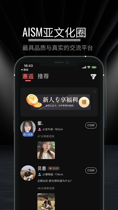 AISM screenshot 1