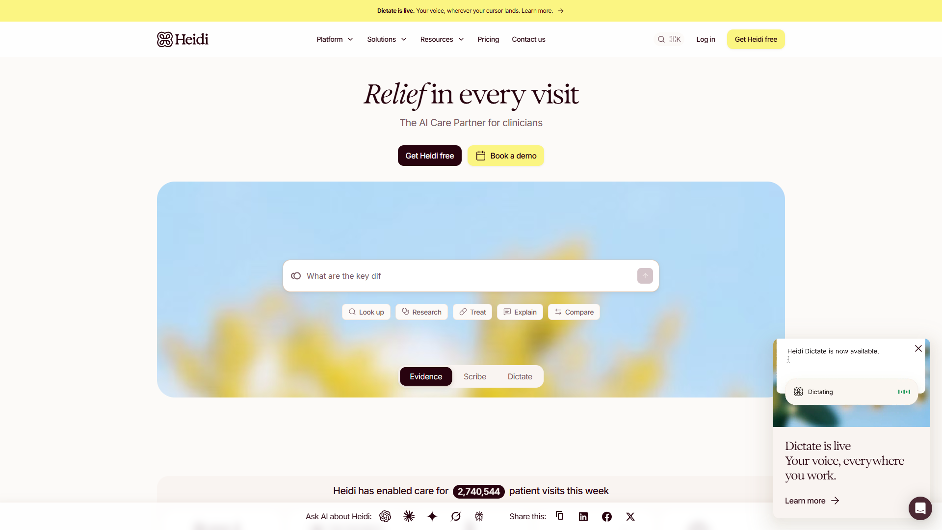 Heidi product screenshot