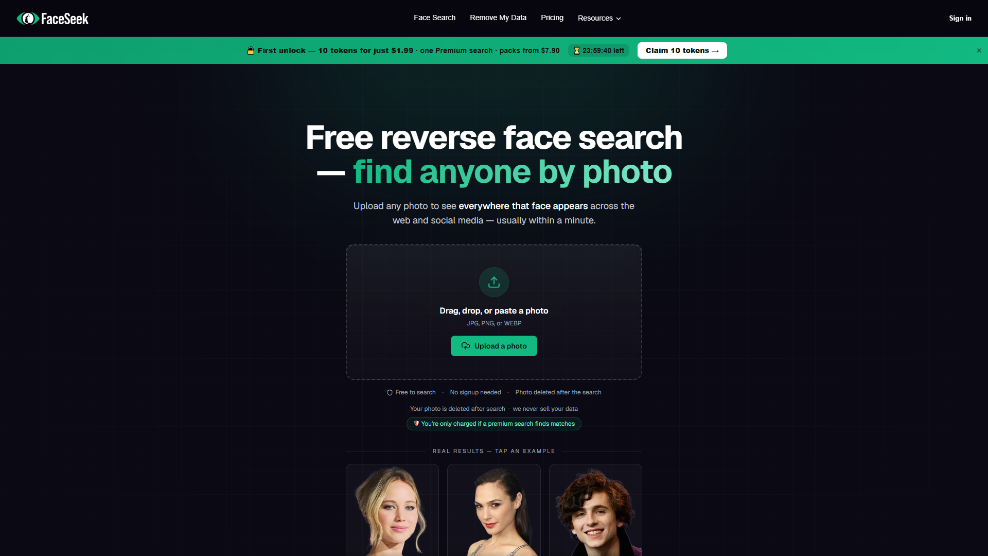 FaceSeek product screenshot