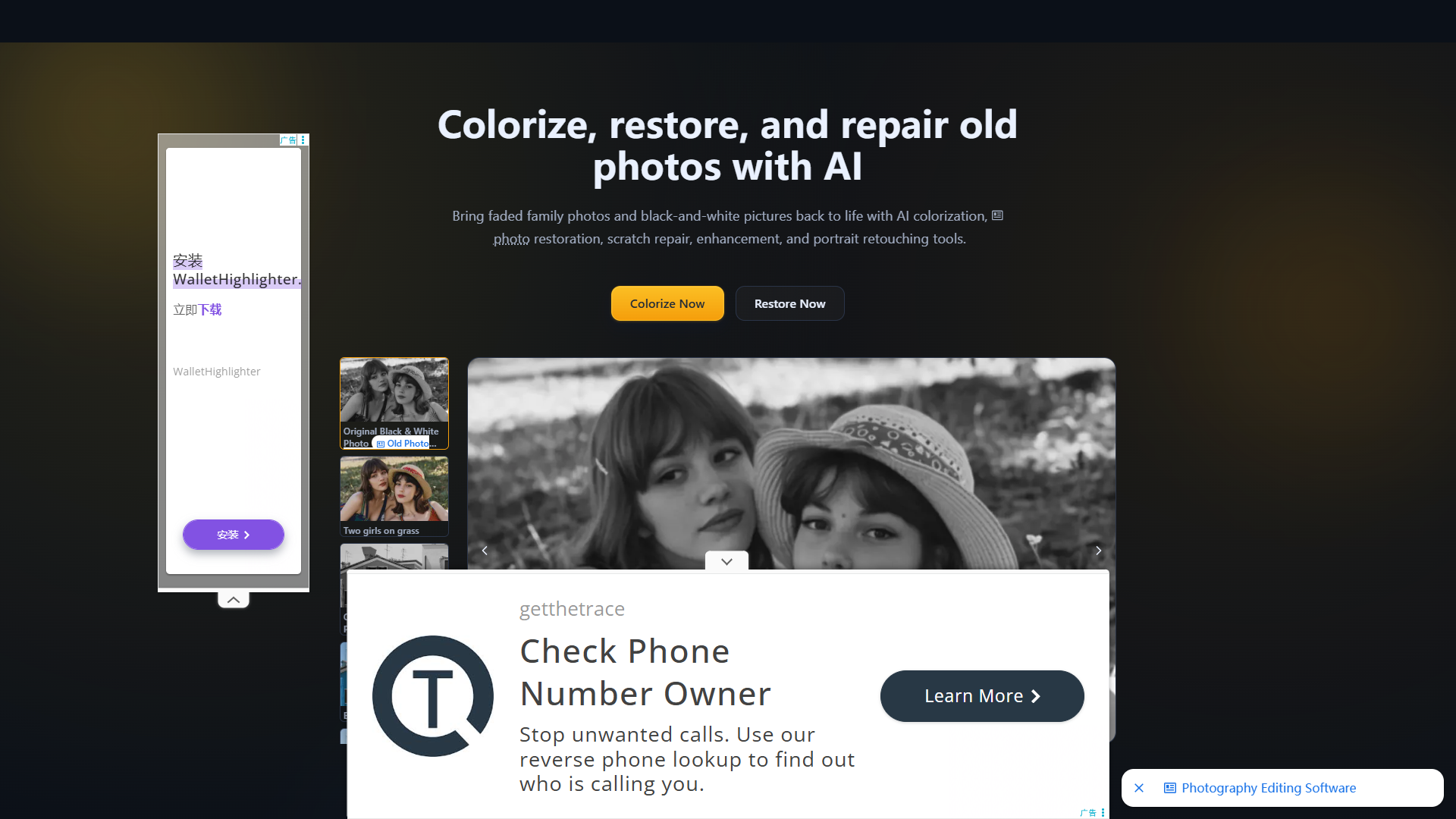 ImageColorizer product screenshot