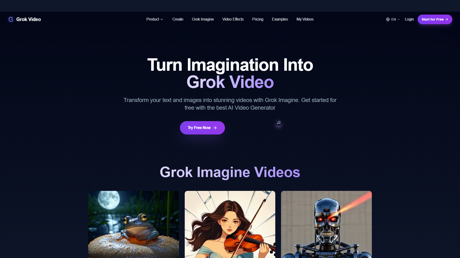 Grok Video product screenshot