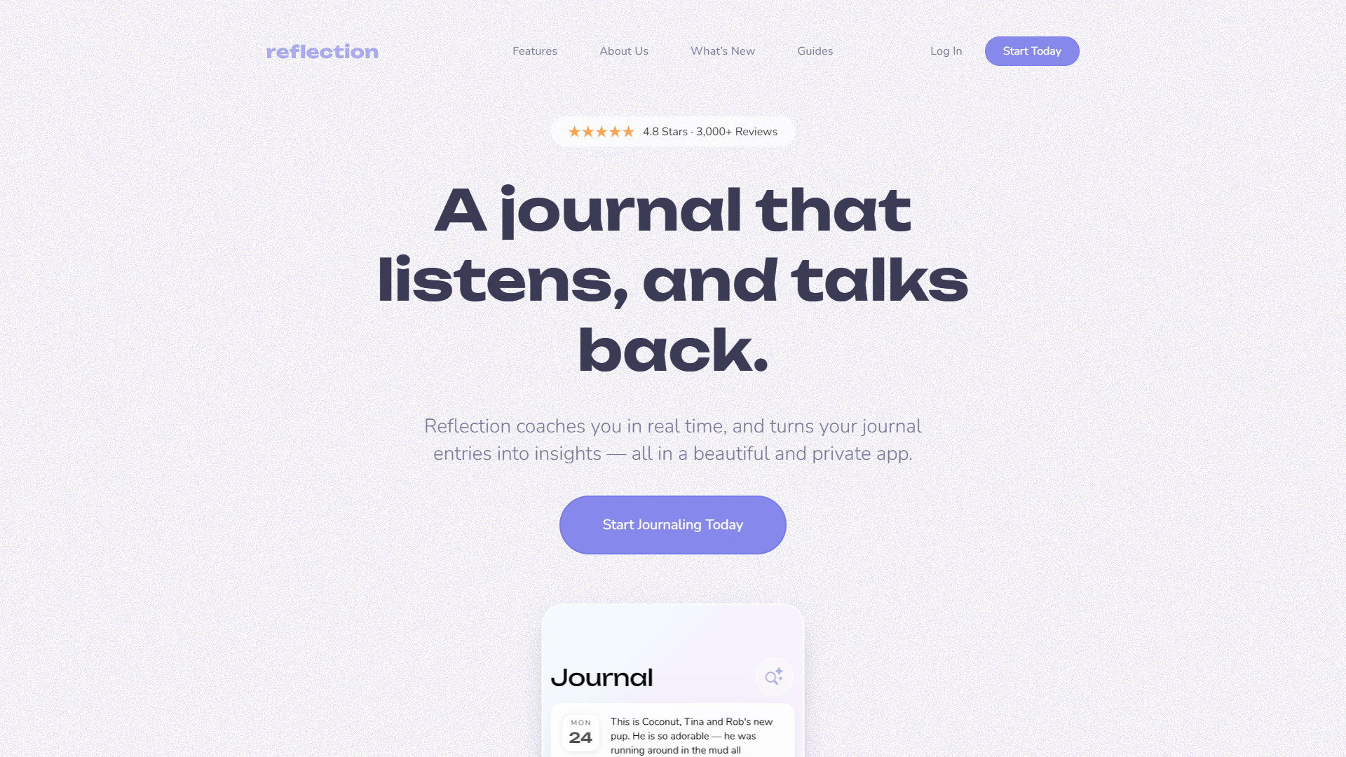 Reflection product screenshot