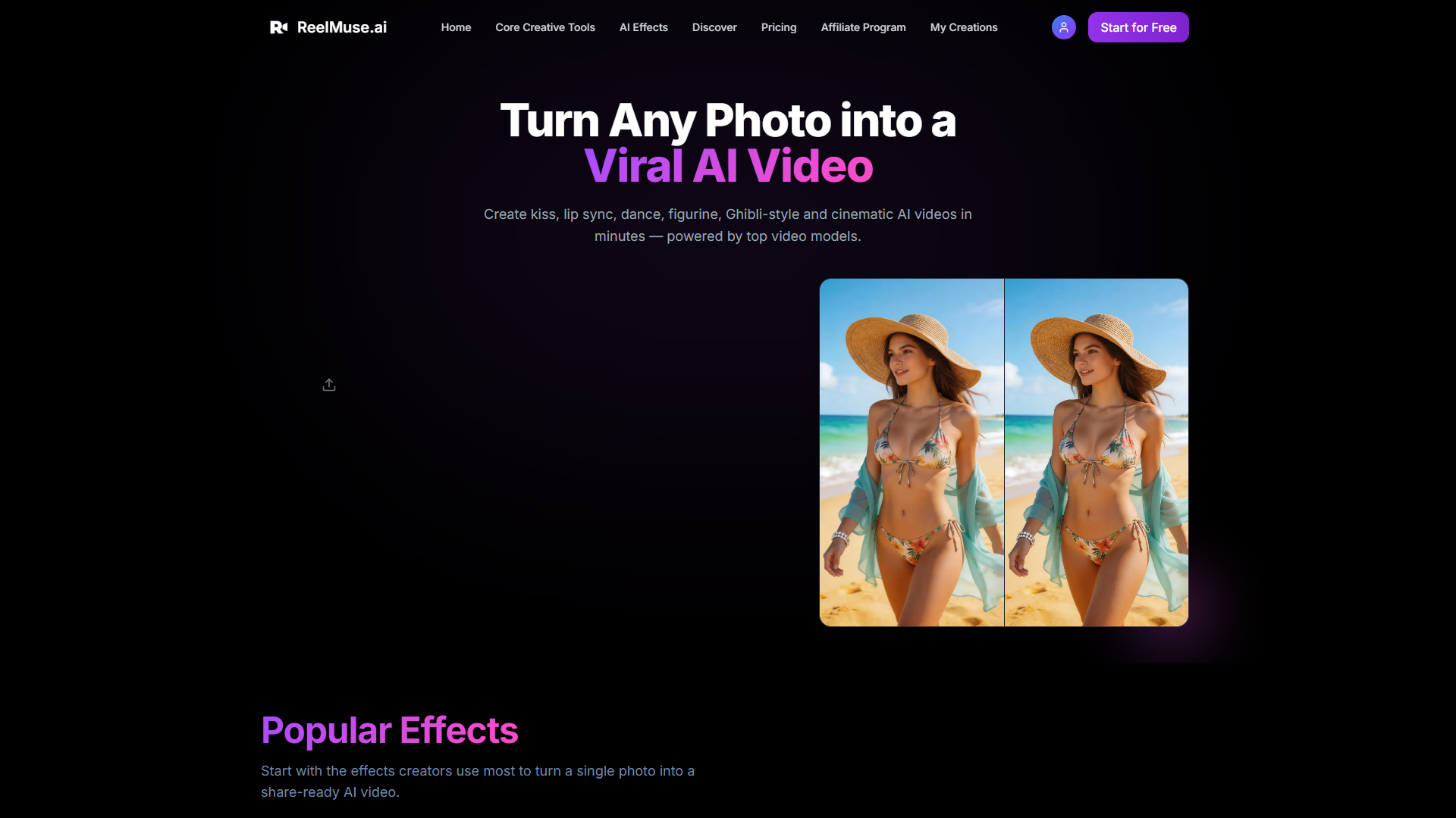 ReelMuse product screenshot
