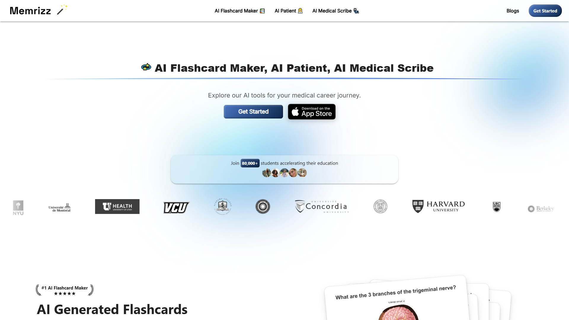 Memrizz product screenshot