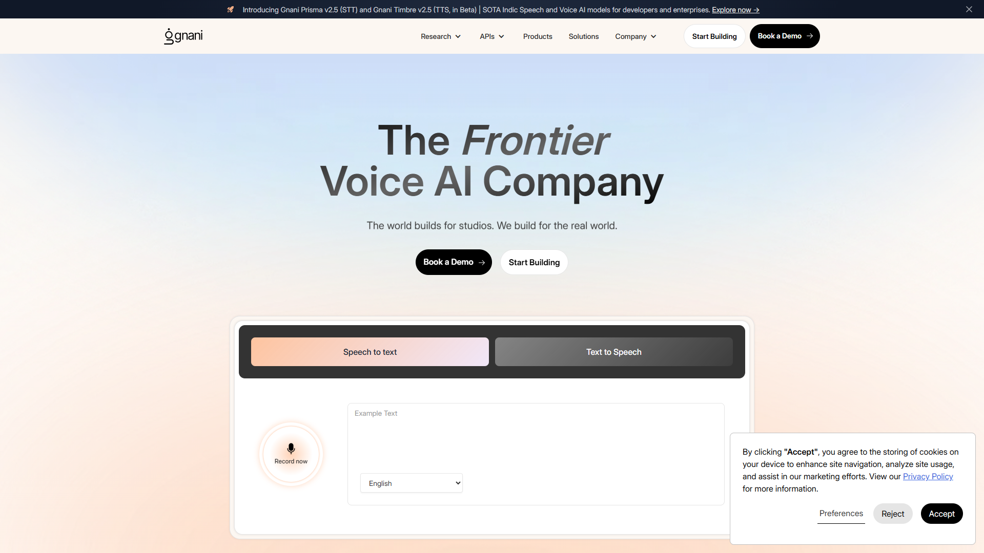 Gnani AI product screenshot