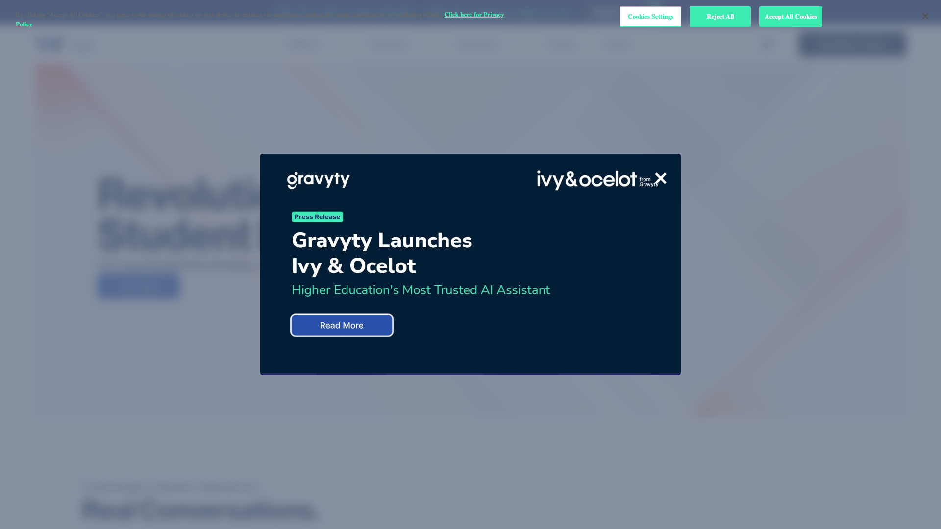 Ivy.ai product screenshot