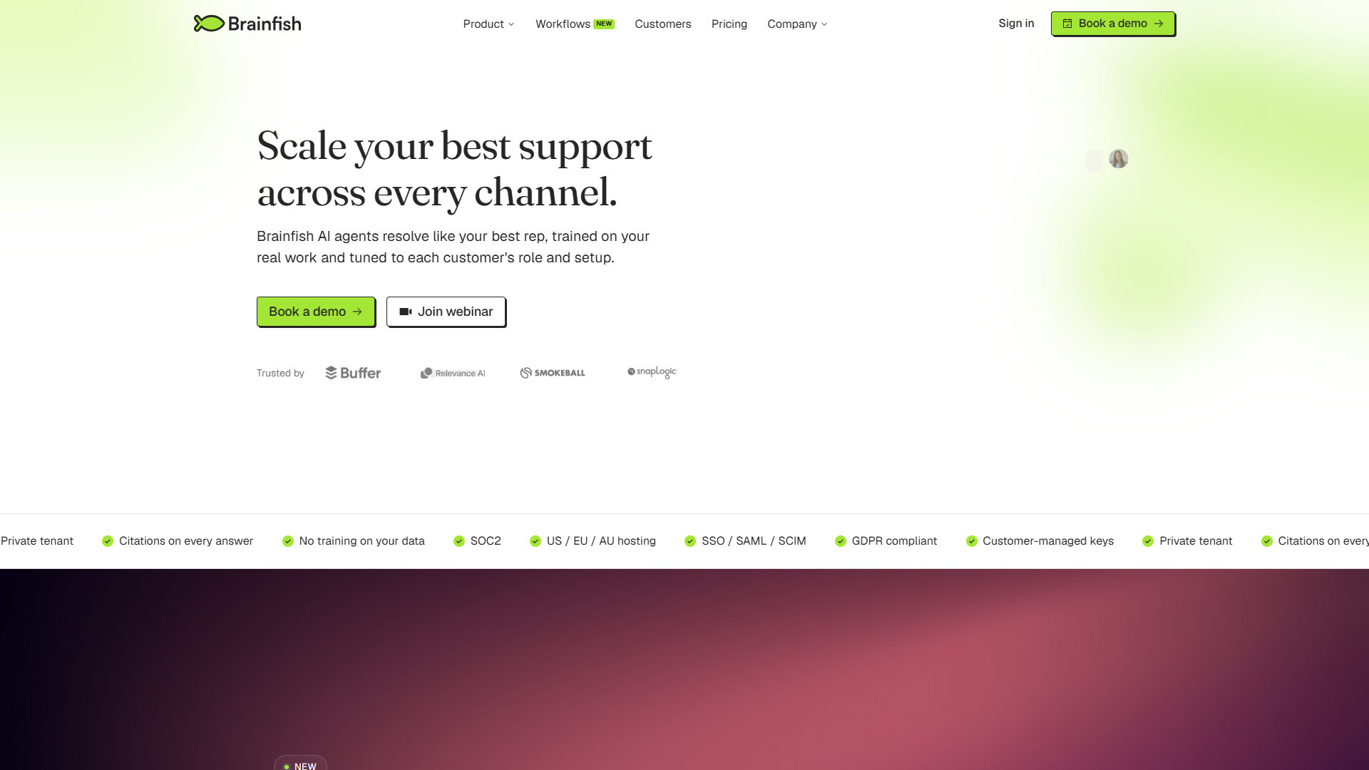 Brainfish product screenshot