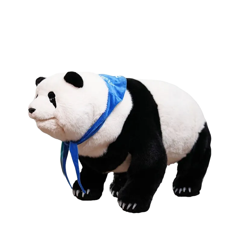 酷拓COOL宝