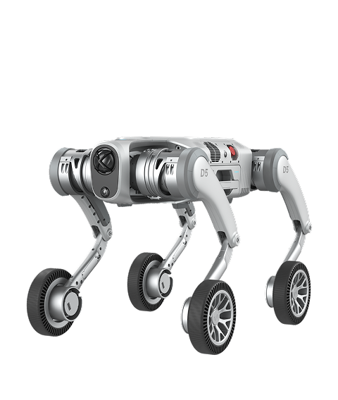 D5 Series