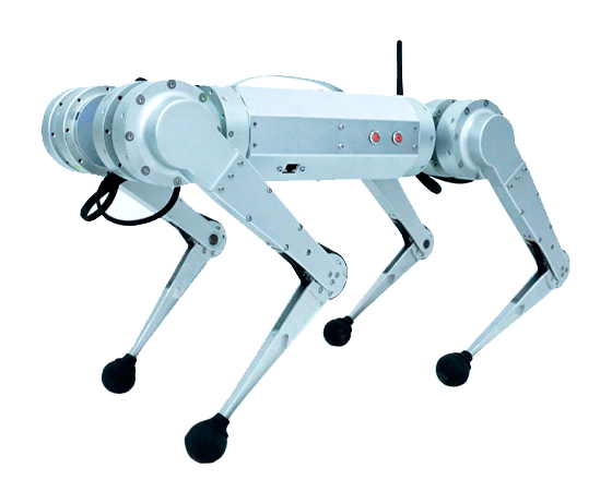 Quadruped Robot Y10