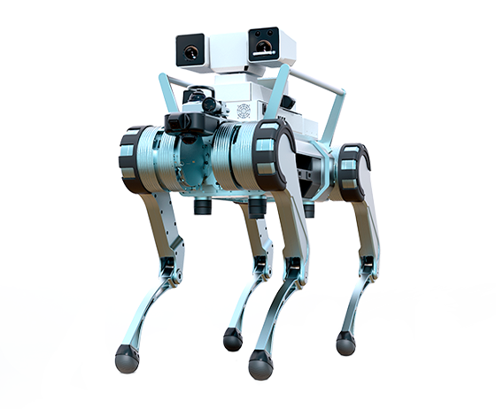 Quadruped Robot Y30