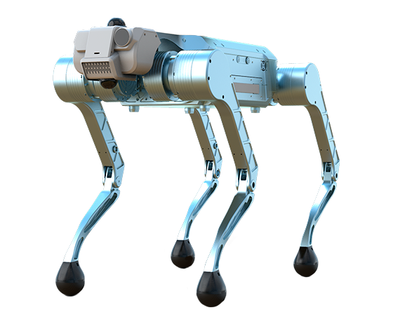 Quadruped Robot Y20