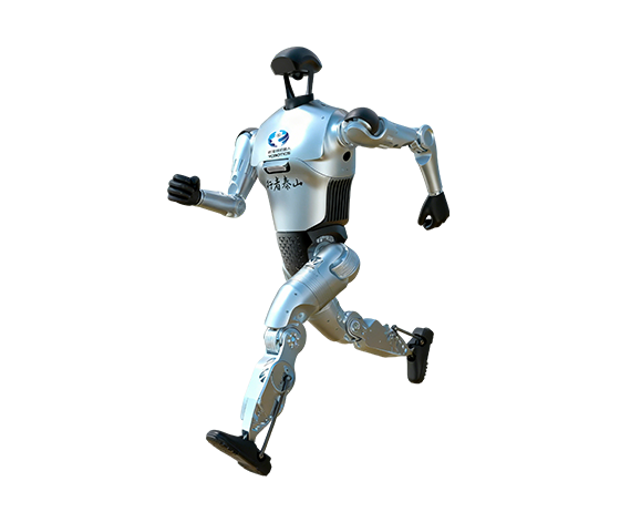 Humanoid Robot E1