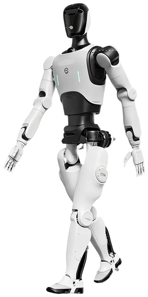 Monkey King D12 Humanoid Robot