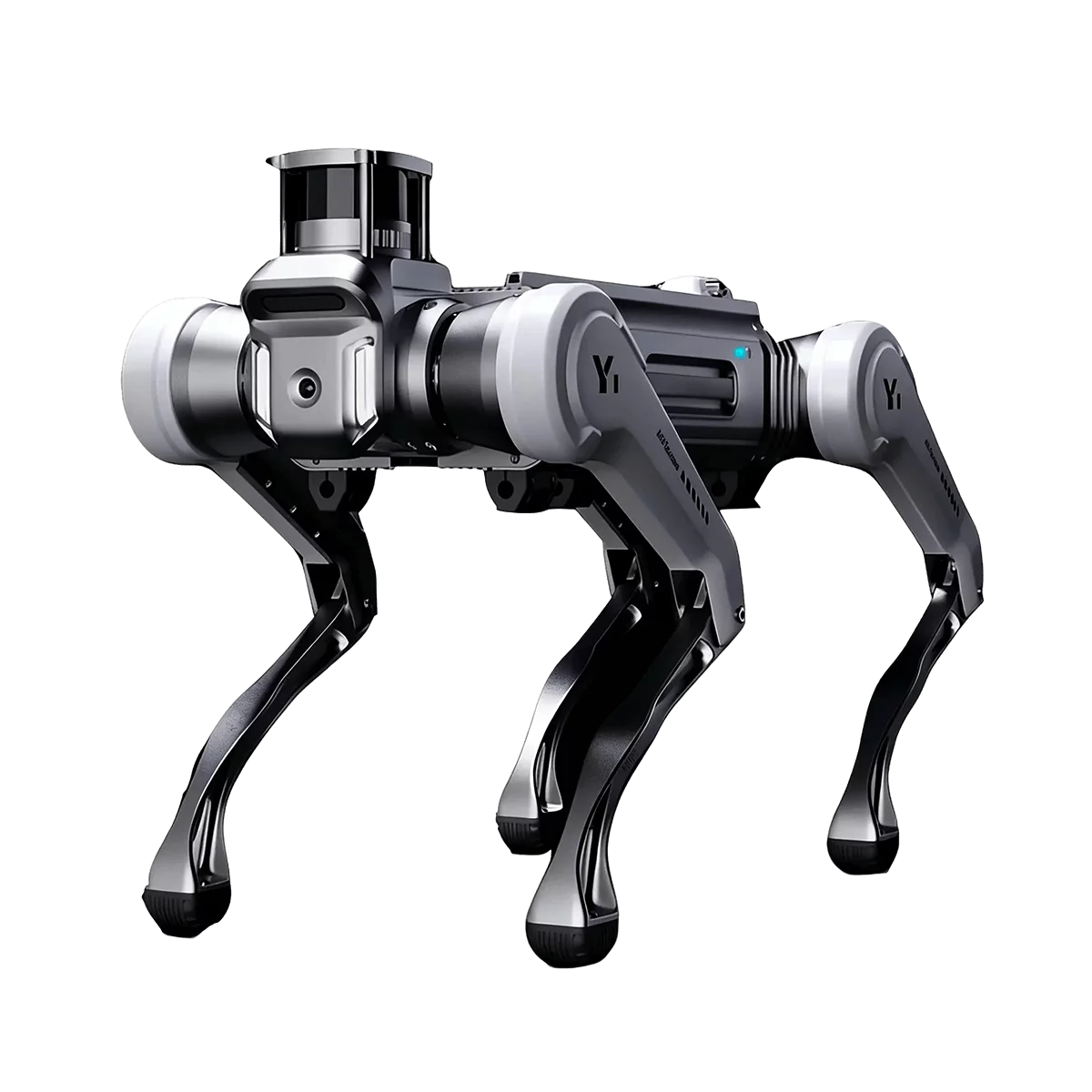 MagicDog Y1