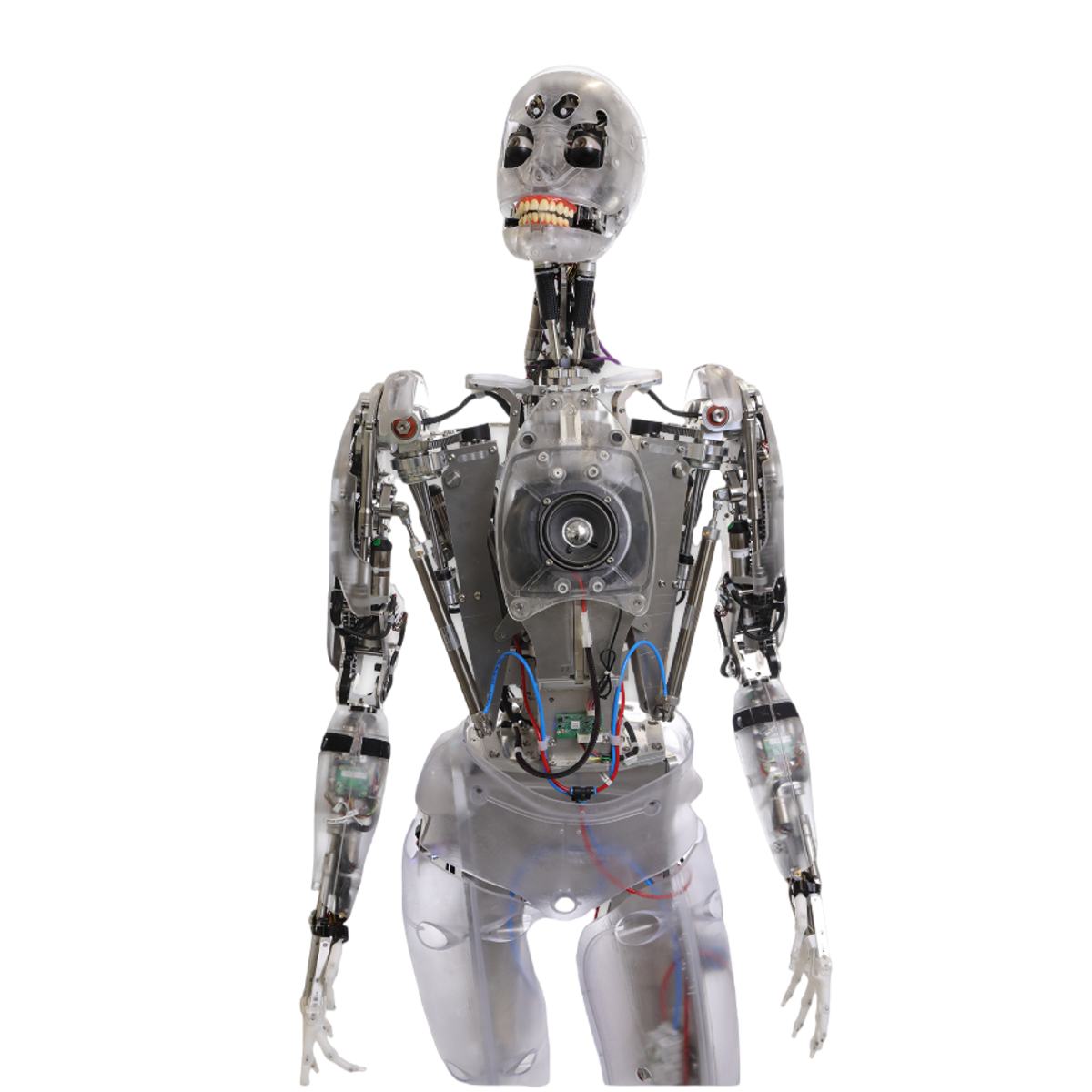 Mesmer