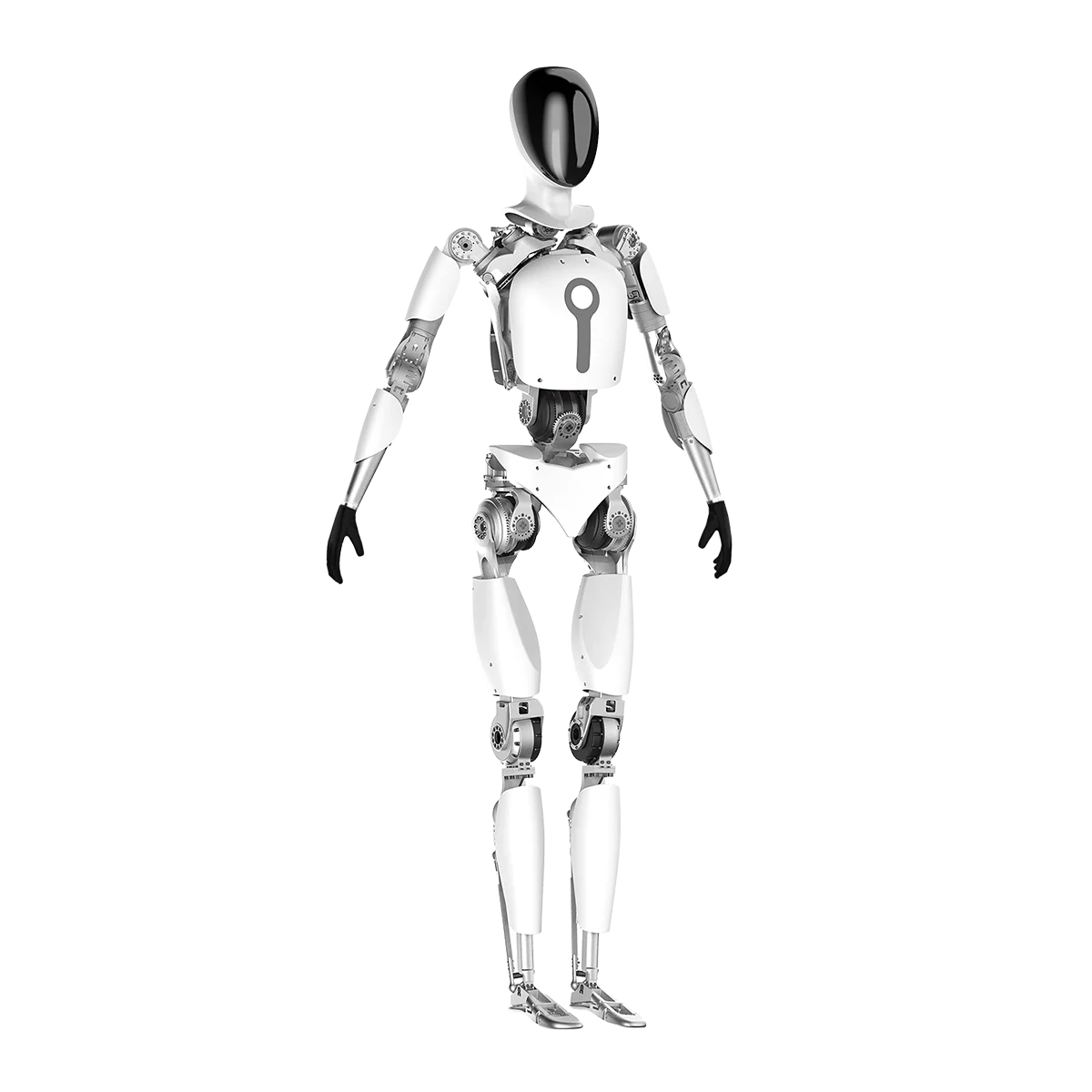 TLIBOT T1