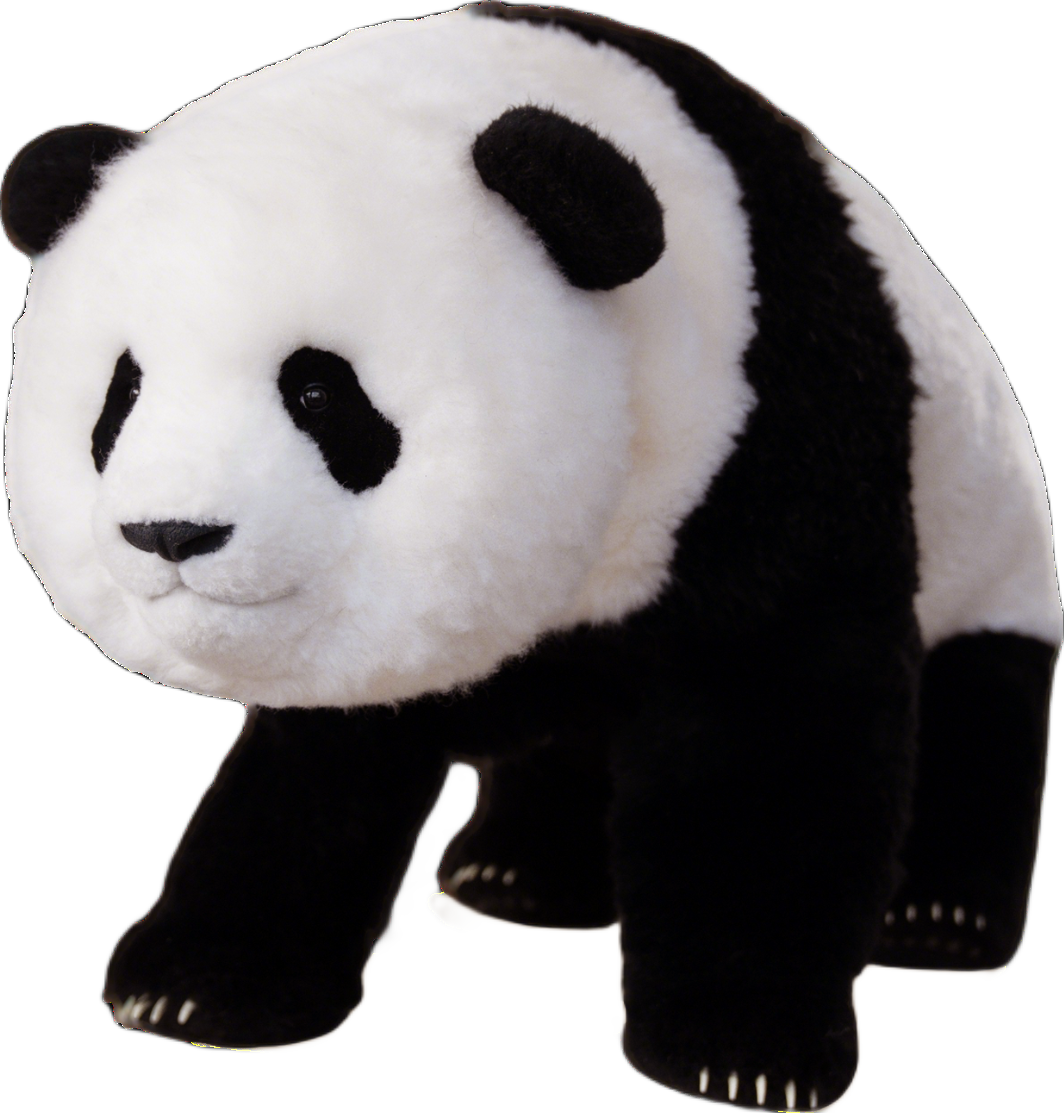 Magic Panda