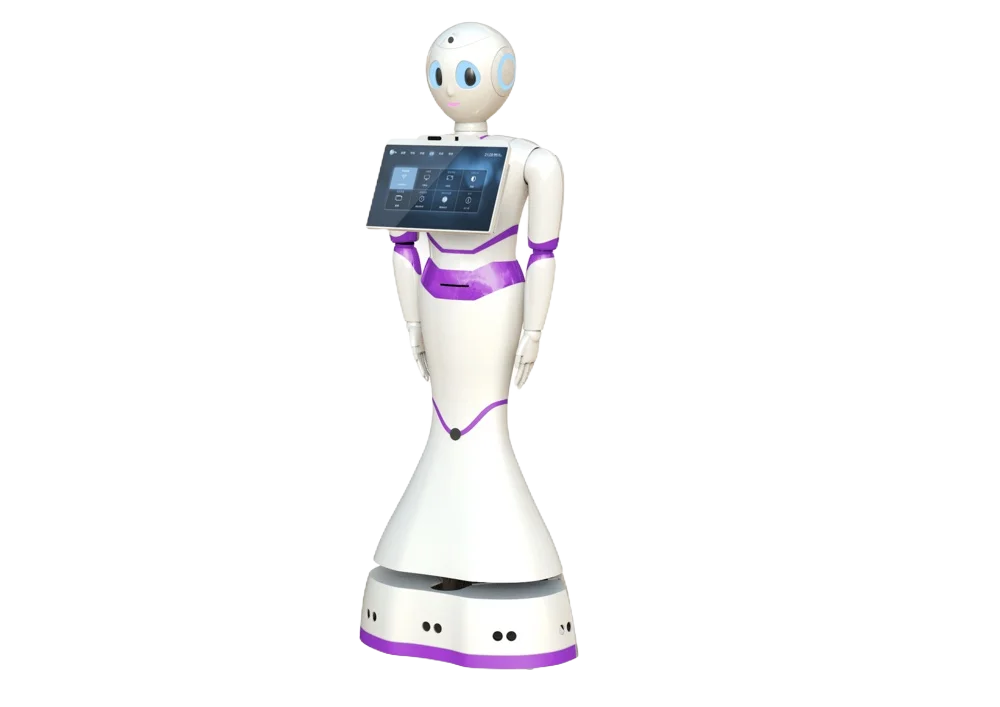 Service Robot (Custom Development)