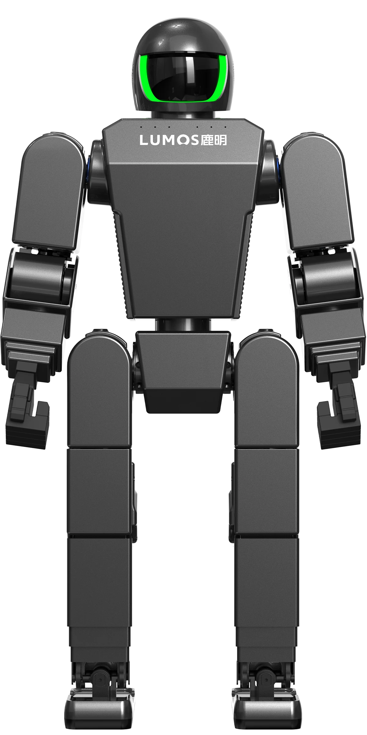 Luming Humanoid Robot