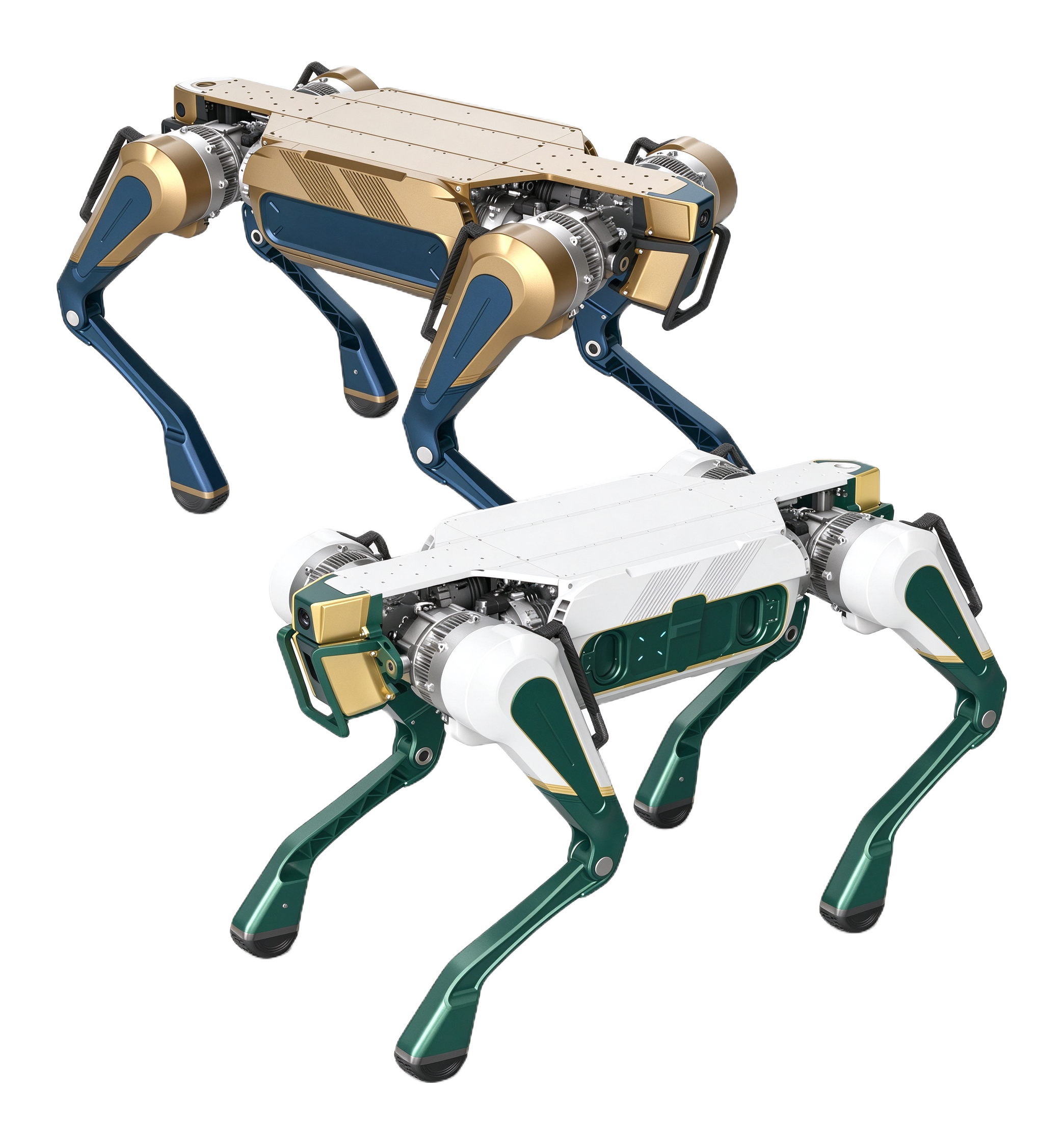Tianlang Q25 Quadruped Robot
