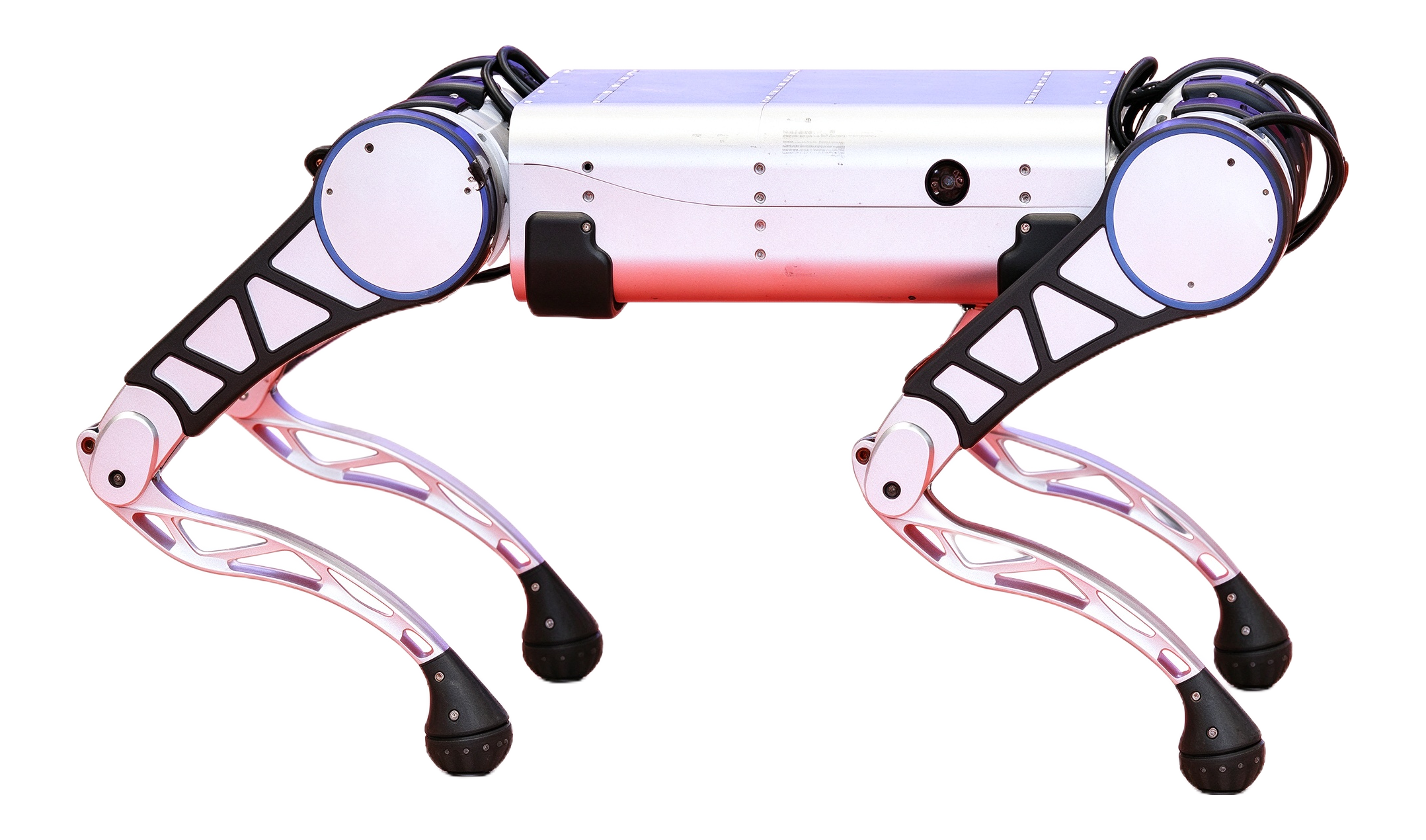 YOBOTICS Y15