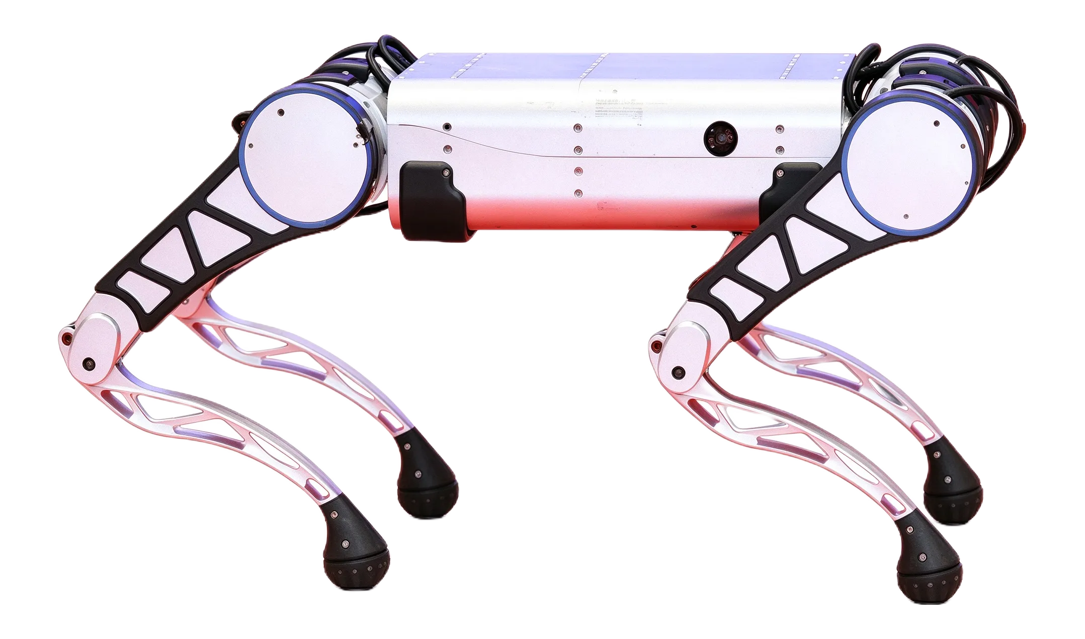 YOBOTICS Y15
