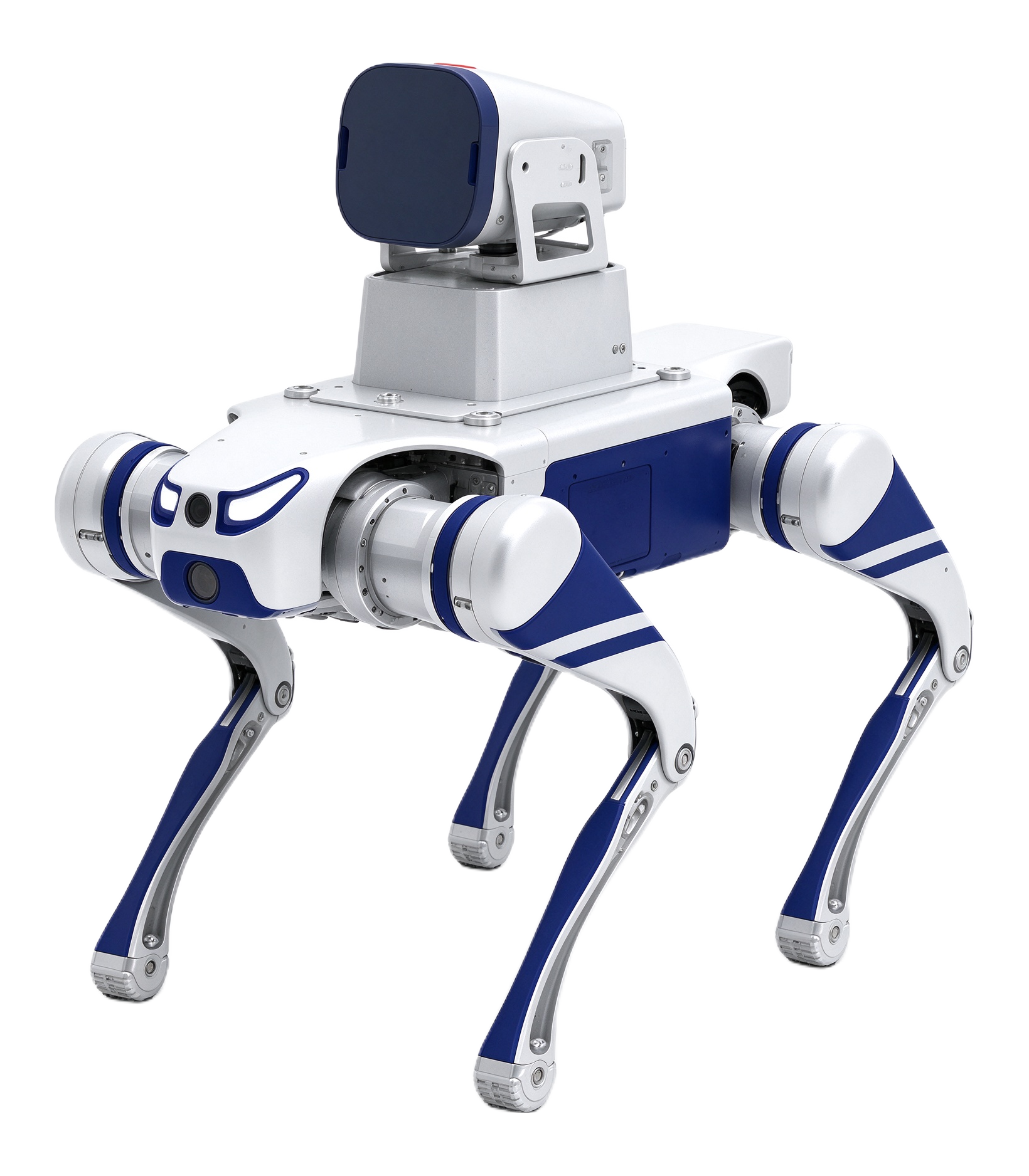 Electromagnetic Net-Capture Robot Dog