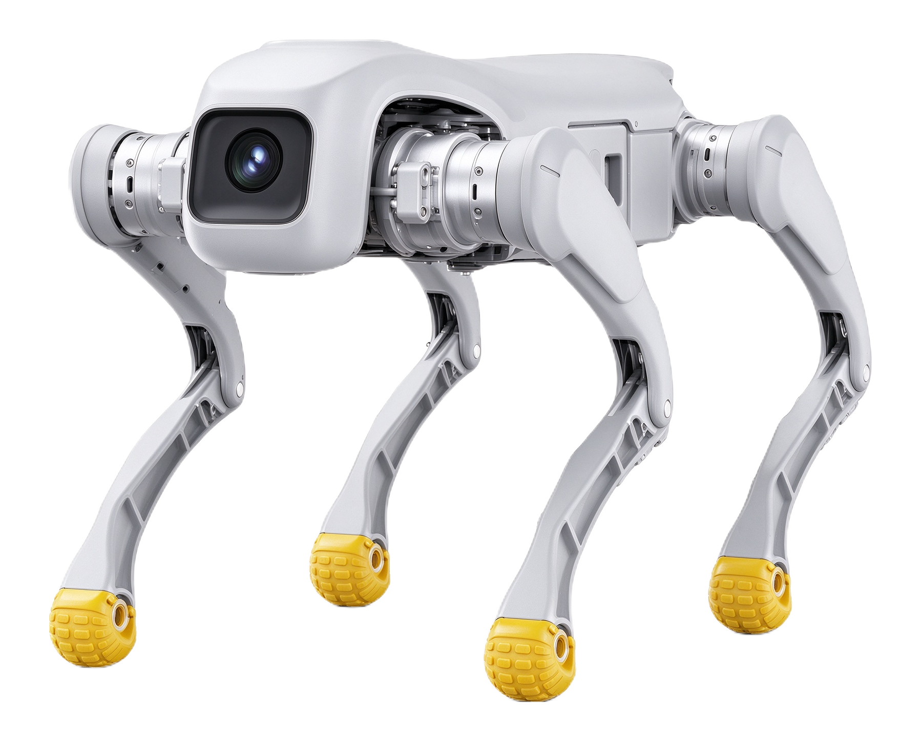 D1 Pro
