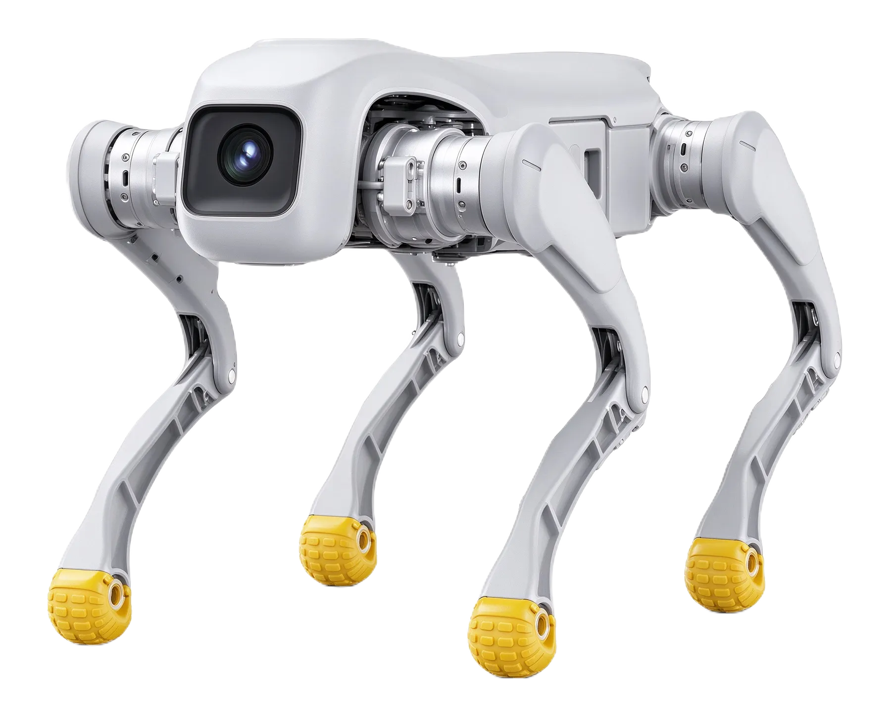 D1 Pro