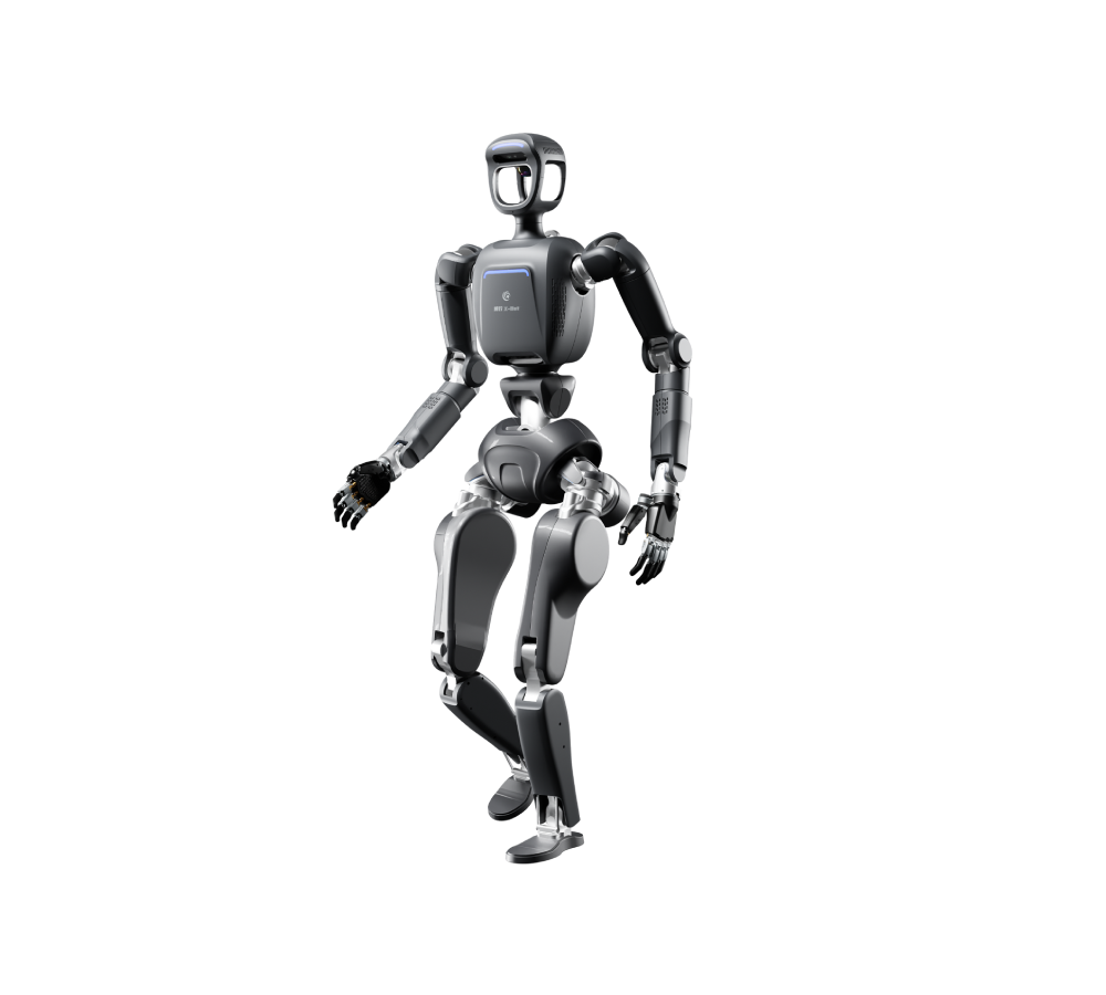Boxing X-Bot